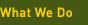 What We Do